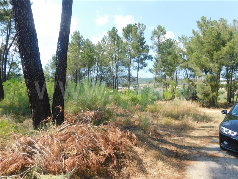 Terreno  Covilhã, Vales do Rio - 1103583 - 12
