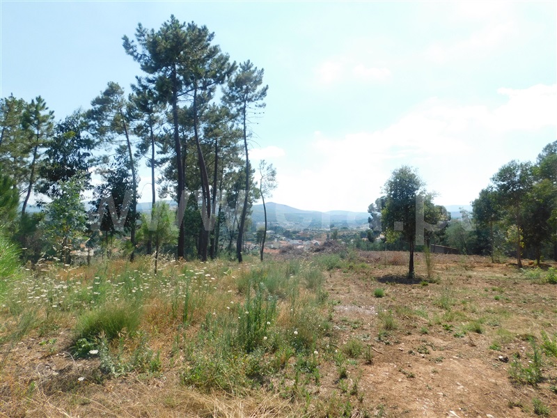 Terreno  Covilhã, Vales do Rio - 1103583 - 14