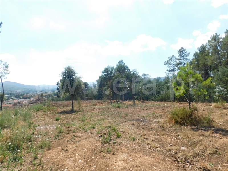 Terreno  Covilhã, Vales do Rio - 1103583 - 15