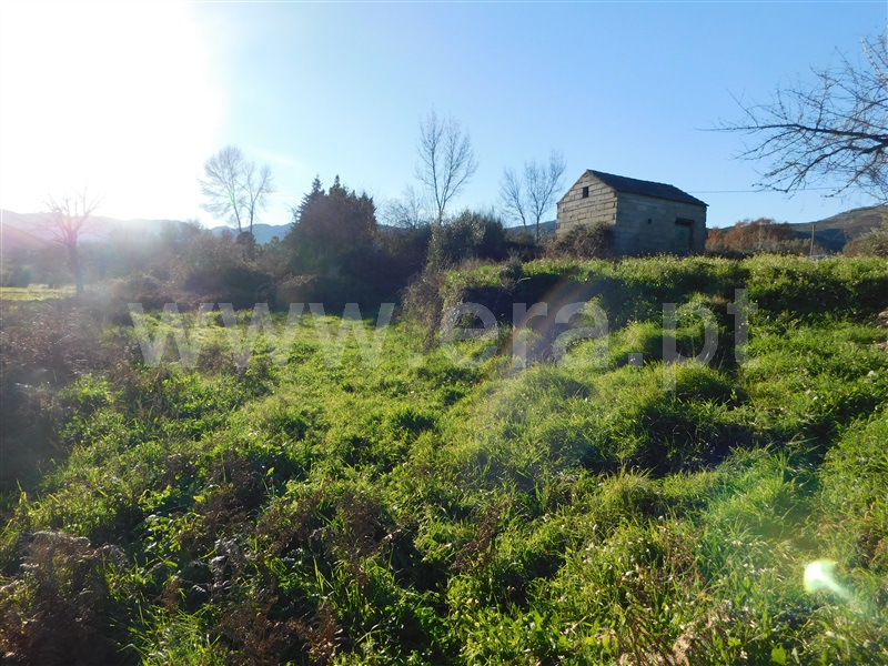 Terreno  com Rústico Covilhã, Verdelhos - 1373859 - 1