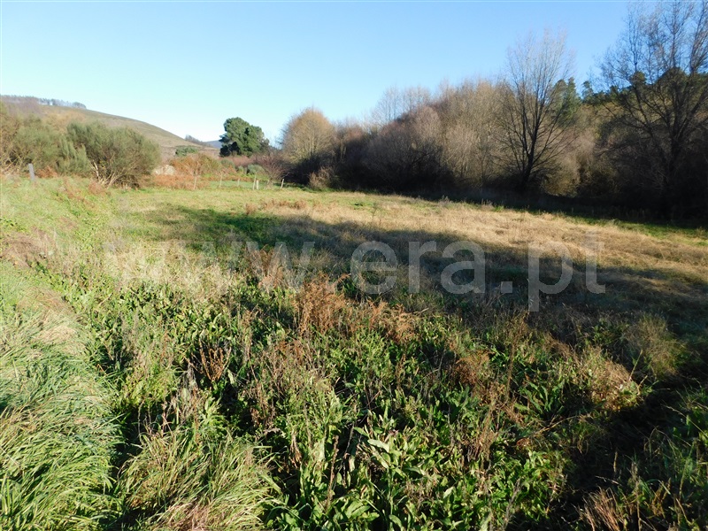 Terreno  com Rústico Covilhã, Verdelhos - 1373859 - 2