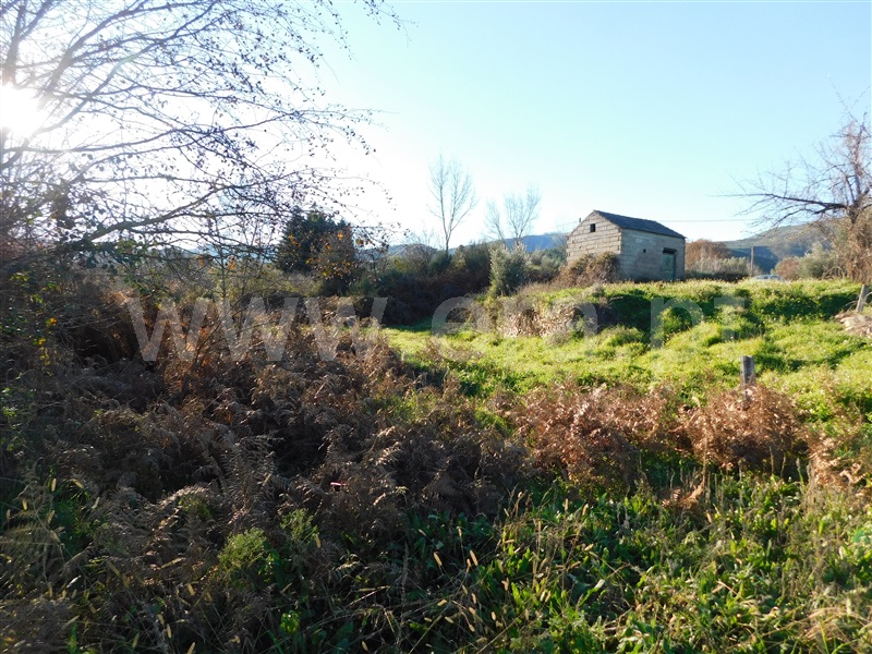 Terreno  com Rústico Covilhã, Verdelhos - 1373859 - 3