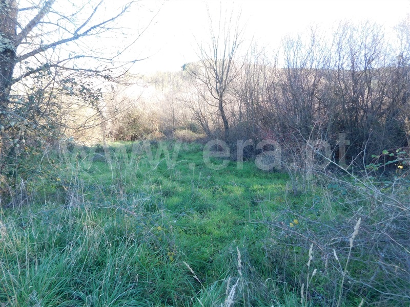 Terreno  com Rústico Covilhã, Verdelhos - 1373859 - 7