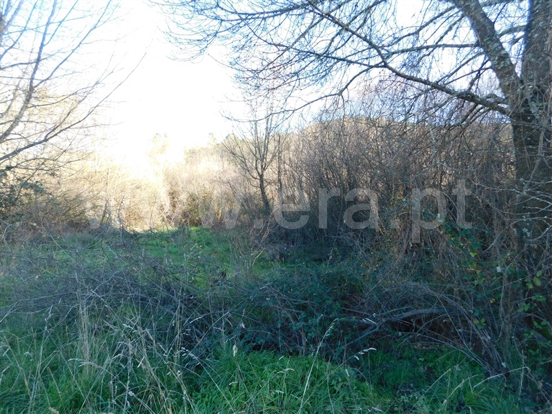 Terreno  com Rústico Covilhã, Verdelhos - 1373859 - 8
