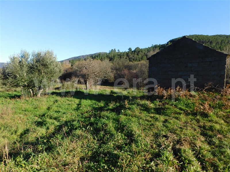 Terreno  com Rústico Covilhã, Verdelhos - 1373859 - 10