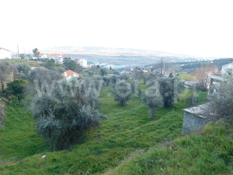 Terreno / Covilhã, Vila do Carvalho