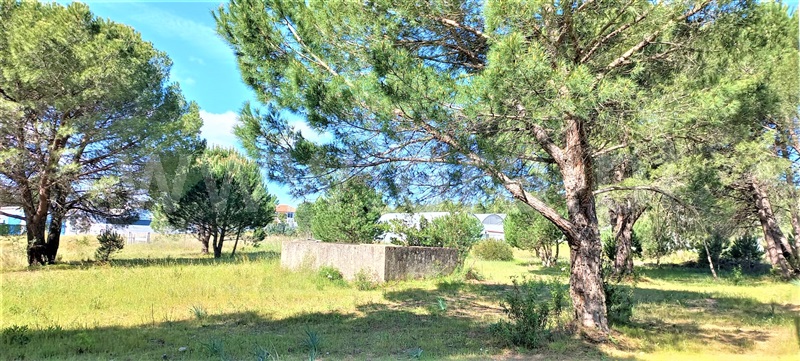 Terreno  Entroncamento, ENTC - Igreja Sagrada Família - 1239643 - 8