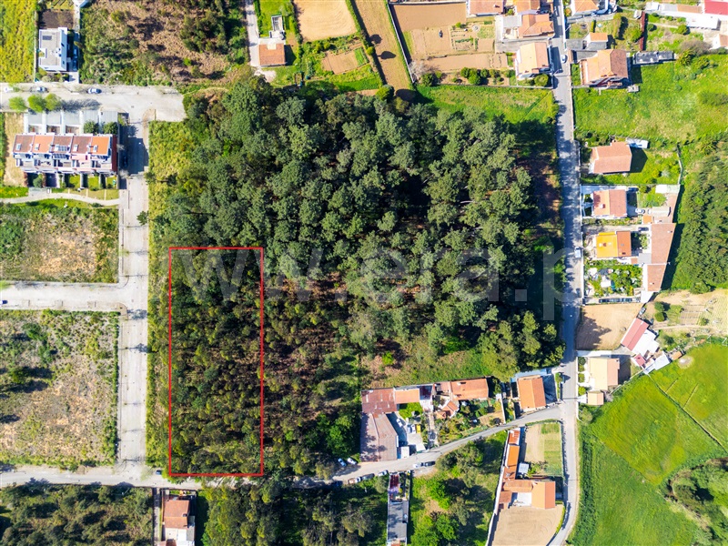 Terreno / Espinho, Anta e Guetim