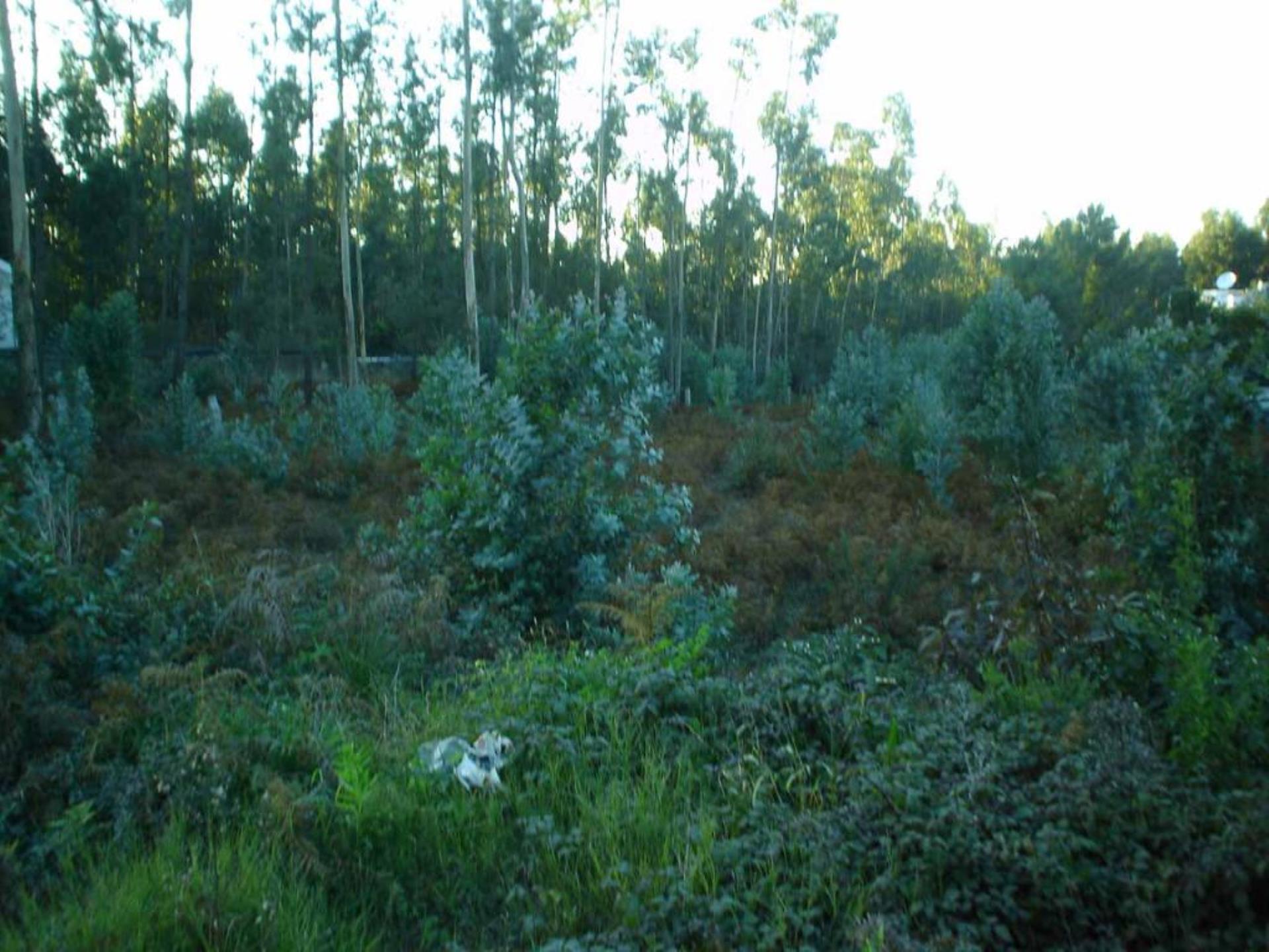Land for sale in Espinho, Portugal — €99,000