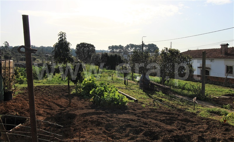 Terreno para Construção  Espinho, Anta I - Lagarta - 1225266 - 3
