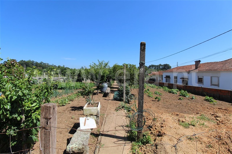 Terreno  com Urbano Espinho, Anta I - Lagarta - 1225266 - 5