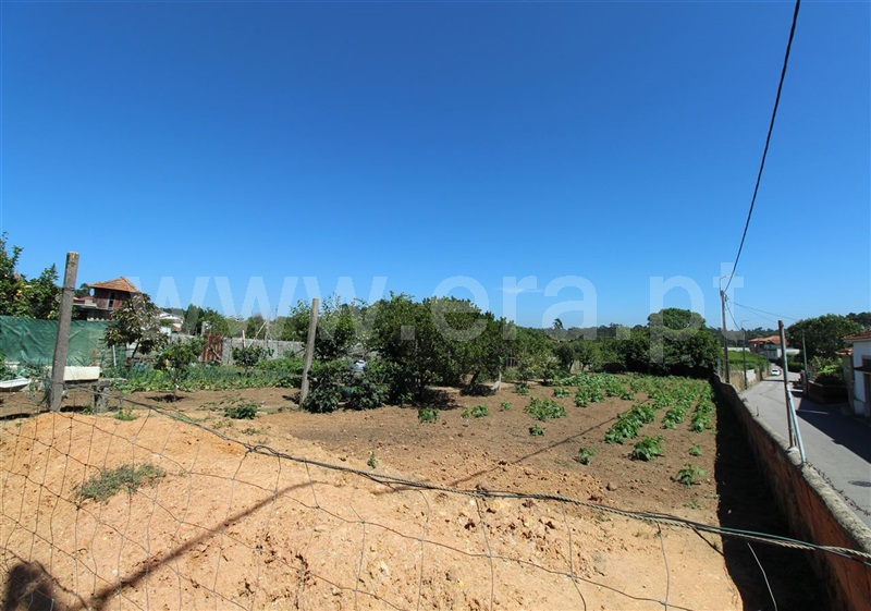 Terreno  com Urbano Espinho, Anta I - Lagarta - 1225266 - 6