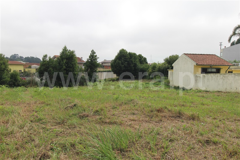 Terreno  Espinho, Anta I - Lagarta - 1332820 - 4