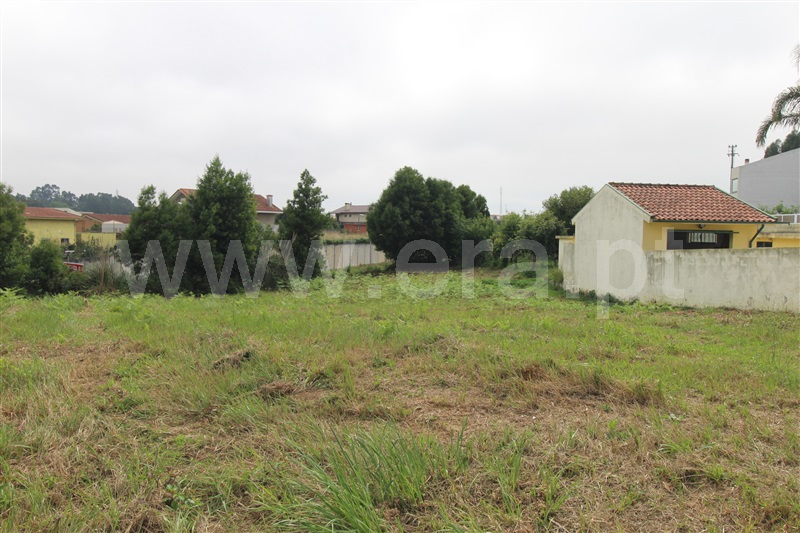 Terreno  Espinho, Anta I - Lagarta - 1332820 - 8