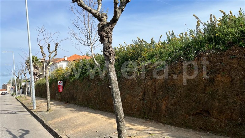 Terreno / Espinho, Espinho
