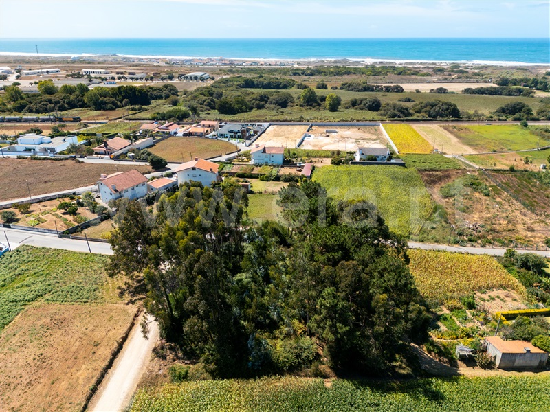 Terreno  Espinho, Paramos - 1503210 - 2