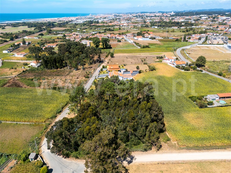 Terreno  Espinho, Paramos - 1503210 - 3