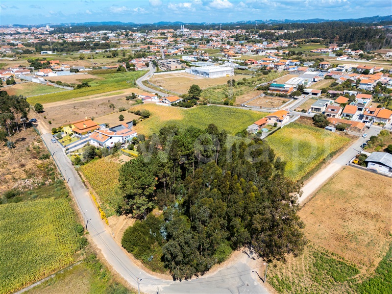 Terreno  Espinho, Paramos - 1503210 - 4