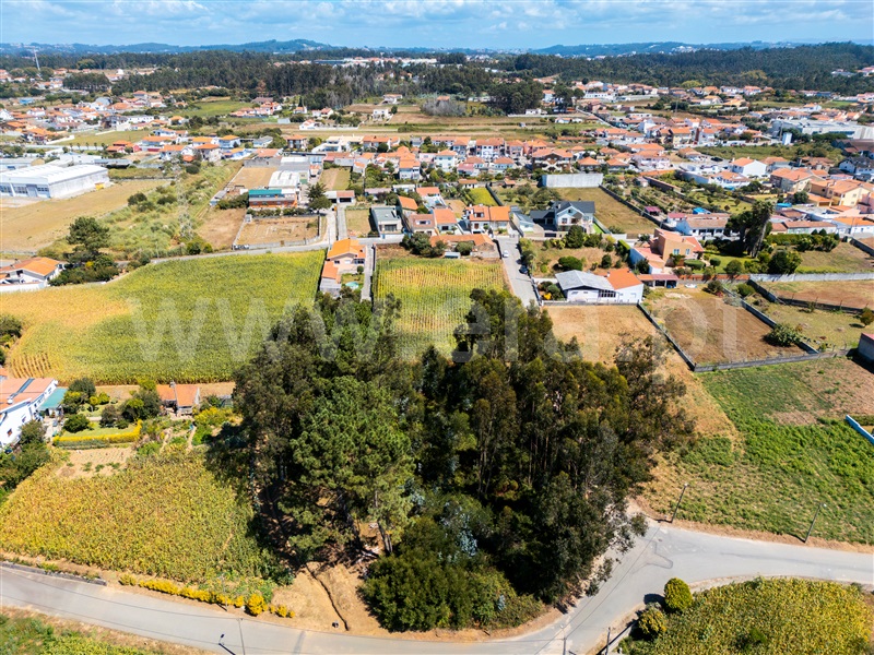 Terreno  Espinho, Paramos - 1503210 - 5