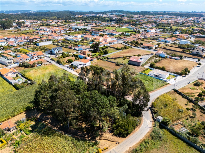 Terreno  Espinho, Paramos - 1503210 - 6