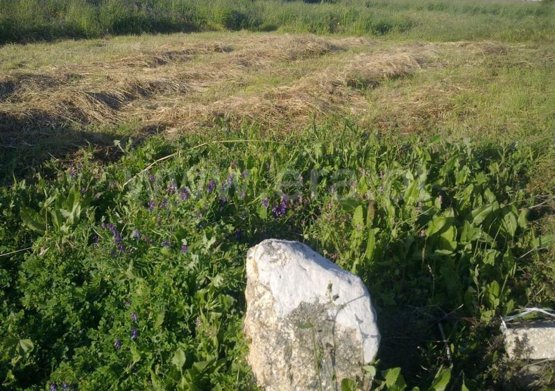 Terreno / Espinho, Silvalde I