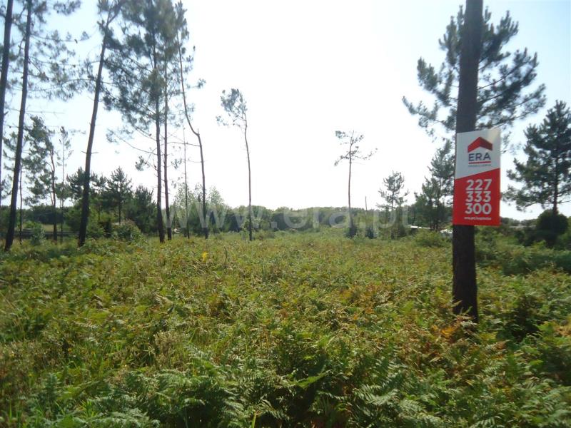 Terreno / Espinho, Silvalde I