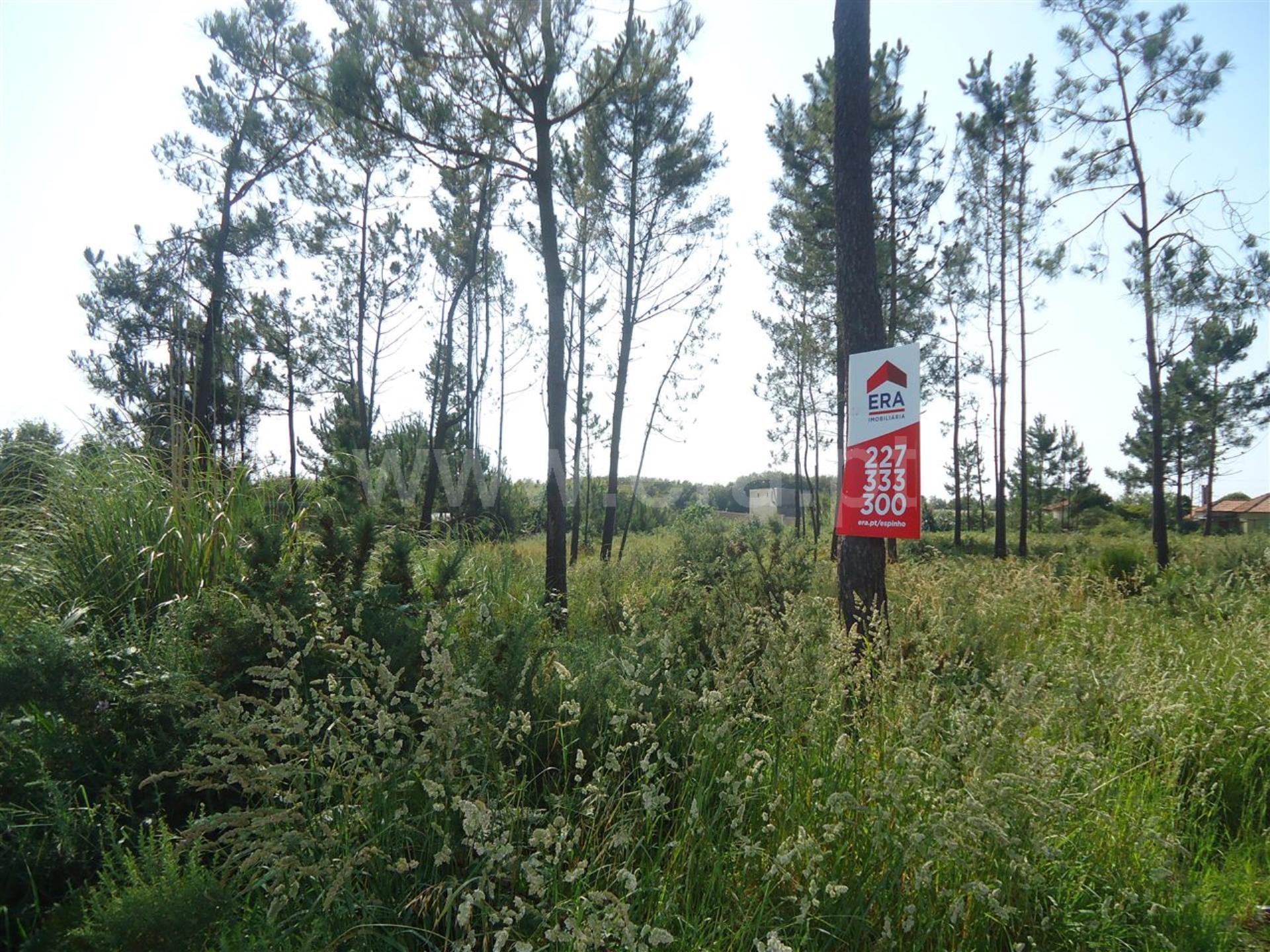 Land for sale in Espinho, Portugal — €150,000
