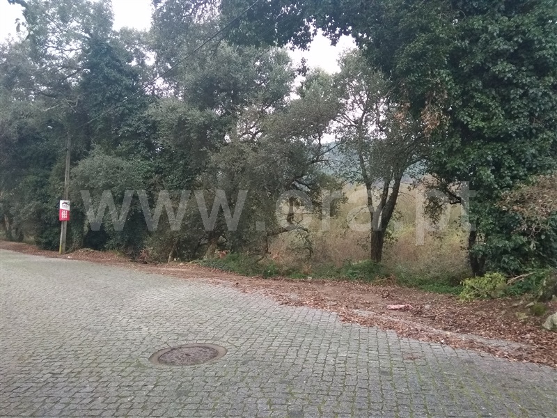 Terreno / Esposende, Antas