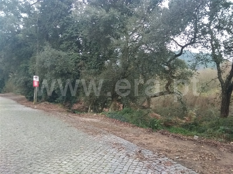 Terreno  Esposende, Antas - 1135884 - 5