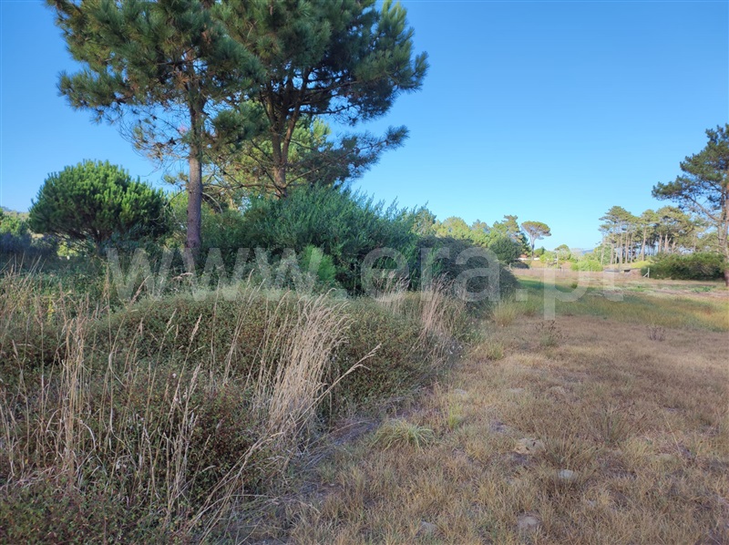 Terreno / Esposende, Antas