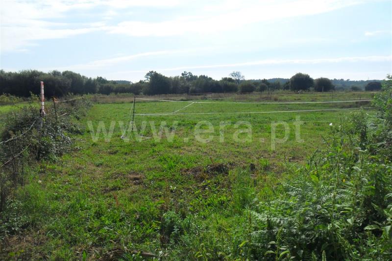 Terreno  Esposende, Antas - 475568 - 2