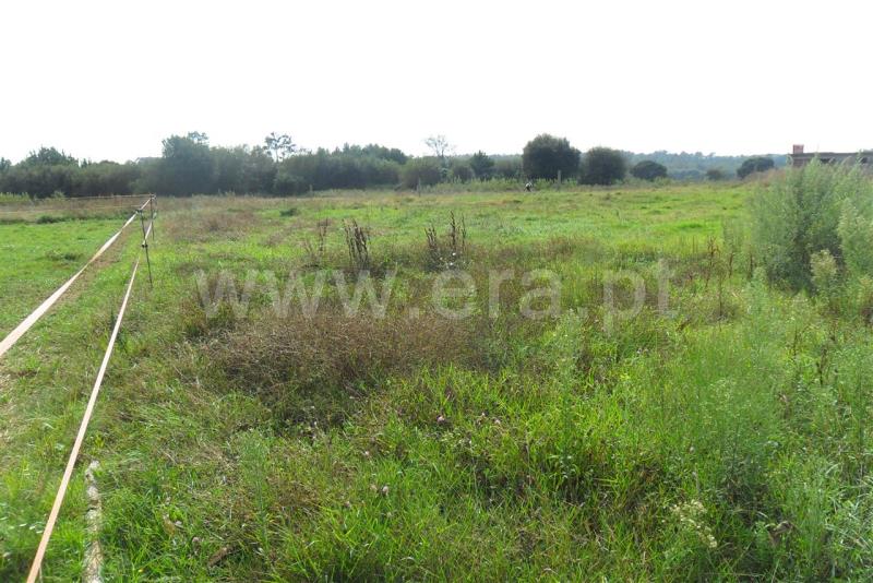 Terreno  Esposende, Antas - 475568 - 3