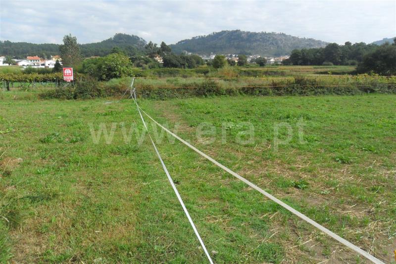 Terreno / Esposende, Antas
