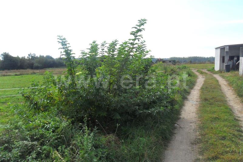 Terreno  Esposende, Antas - 475568 - 4