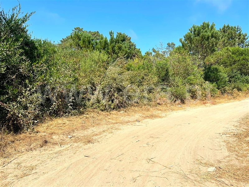 Terreno  Esposende, Belinho - 482140 - 3