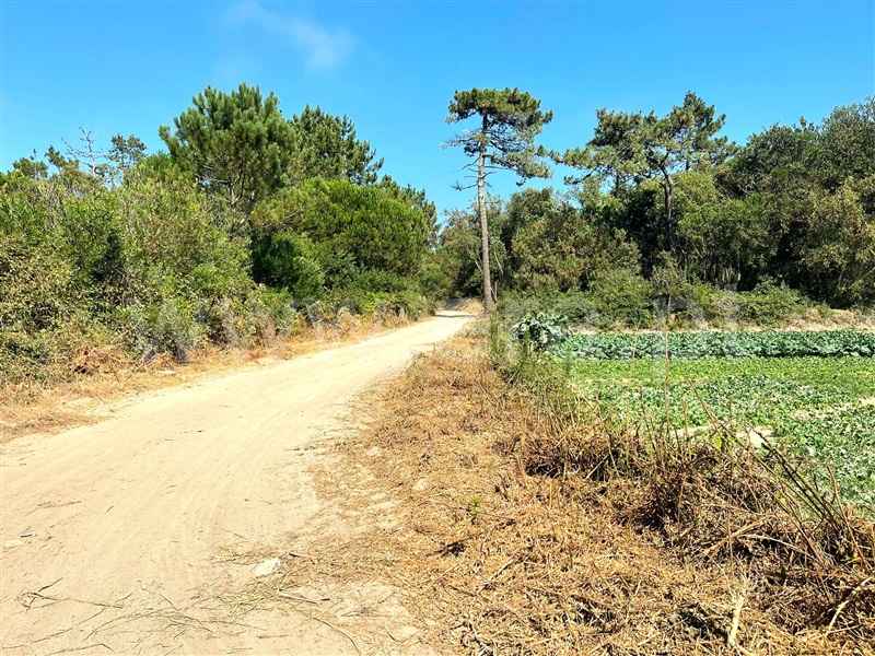 Terreno  Esposende, Belinho - 482140 - 4