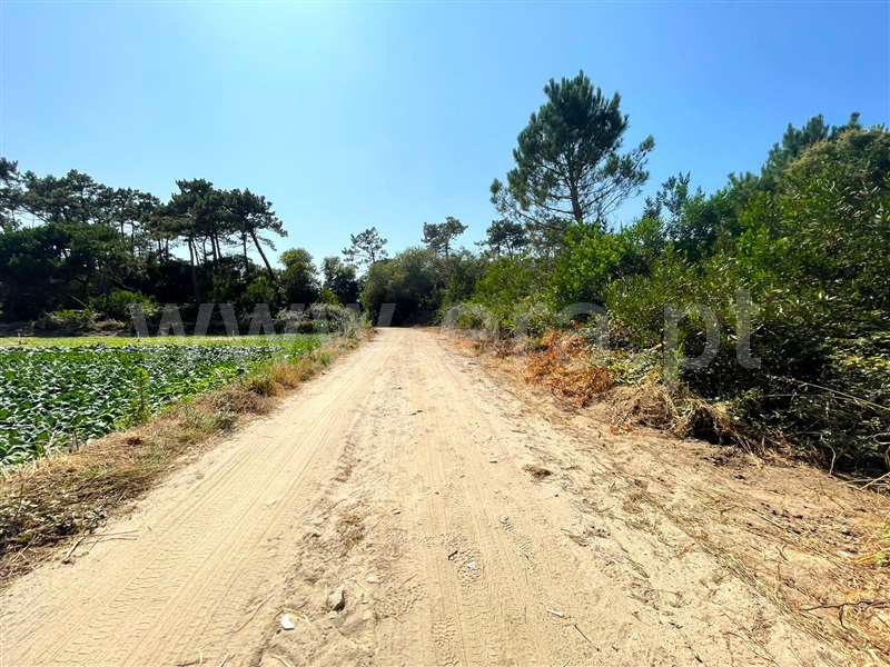 Terreno  Esposende, Belinho - 482140 - 5
