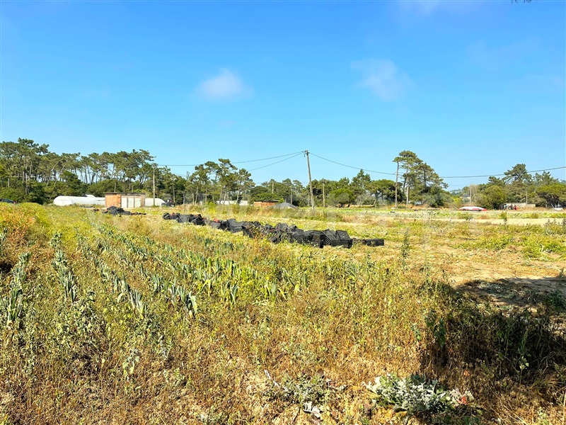 Terreno  Esposende, Belinho - 482140 - 8