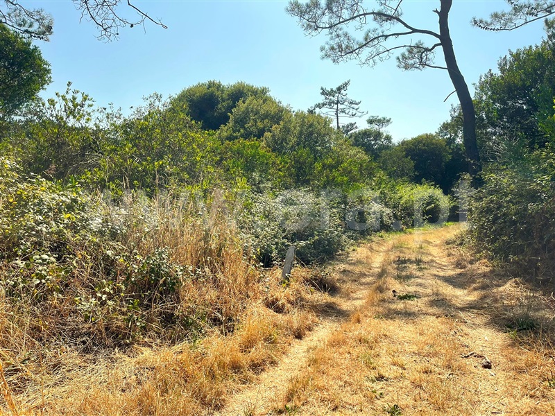 Terreno  Esposende, Belinho - 482140 - 10