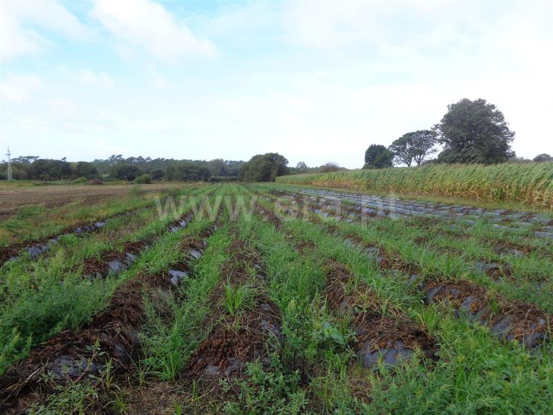 Terreno  Esposende, Belinho - 536796 - 2