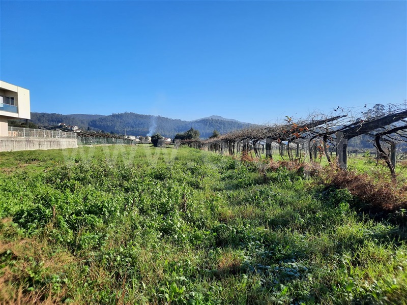 Terreno  Esposende, Curvos - 1296063 - 1