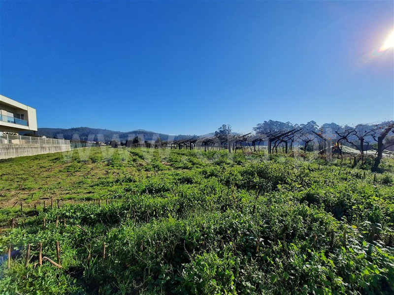 Terreno  Esposende, Curvos - 1296063 - 3