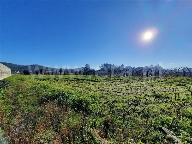 Terreno  Esposende, Curvos - 1296063 - 4