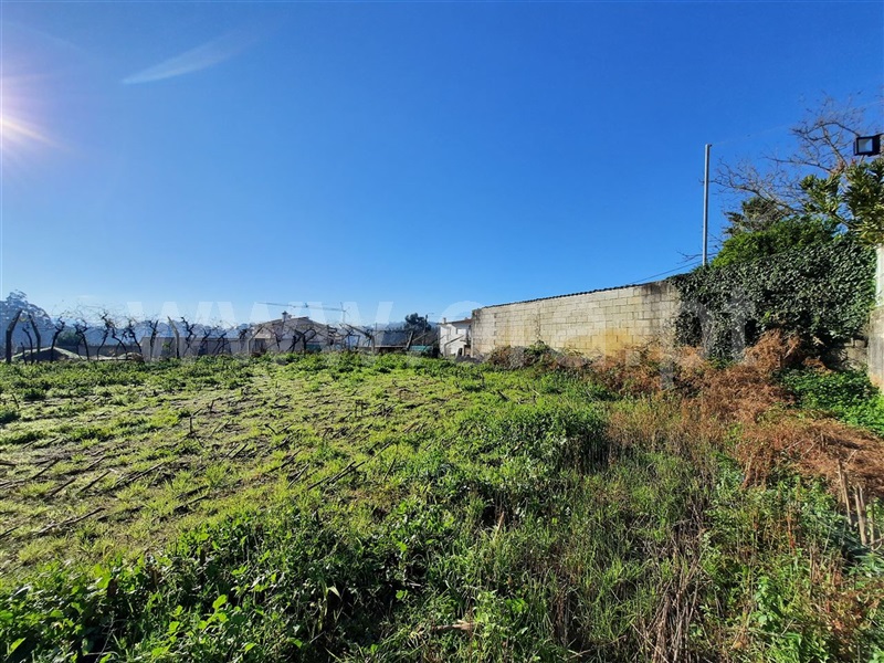 Terreno  Esposende, Curvos - 1296063 - 5
