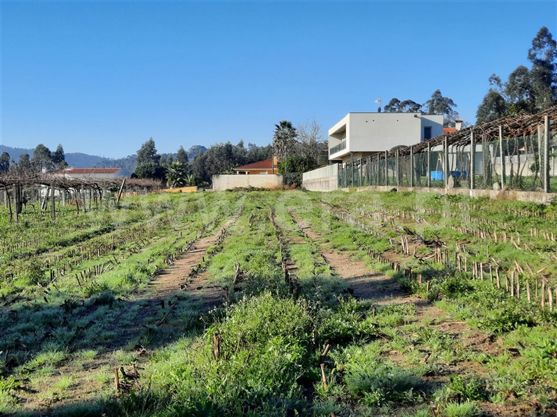 Terreno  Esposende, Curvos - 1296063 - 8