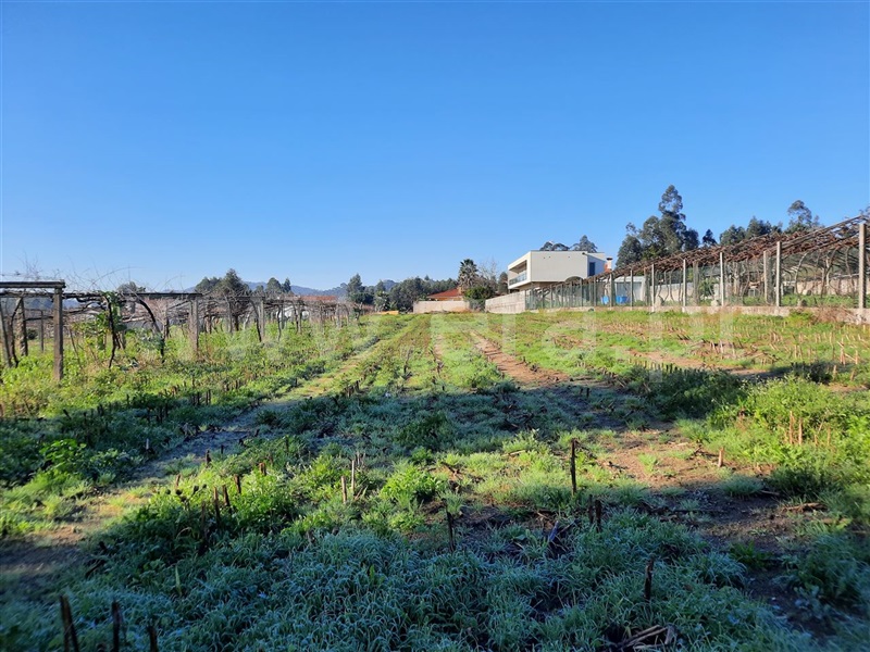 Terreno  Esposende, Curvos - 1296063 - 9
