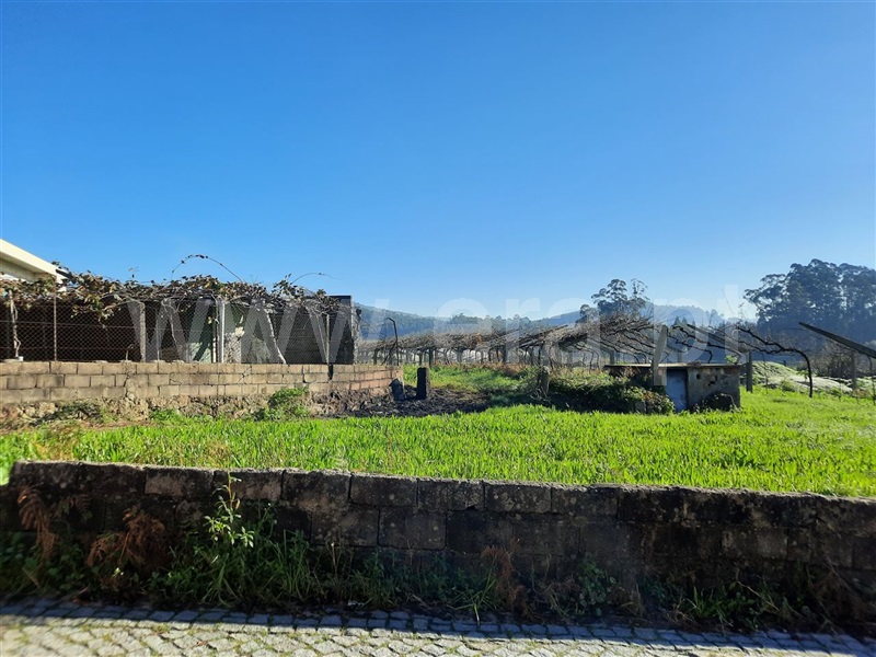 Terreno  Esposende, Curvos - 1296063 - 12