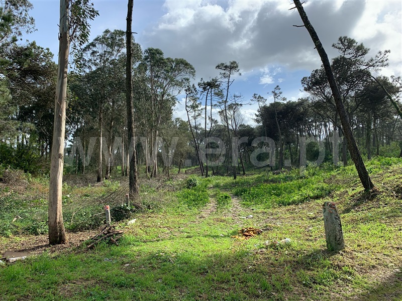 Terreno / Esposende, Fão