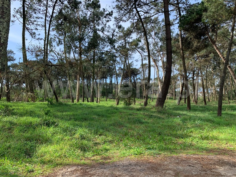 Terreno  Esposende, Fão - 1463482 - 2