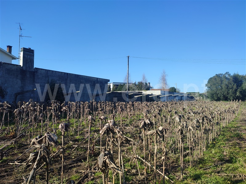 Terreno  Esposende, Forjães - 1297747 - 8